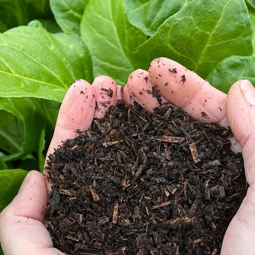 Natural grower peat free - peat,