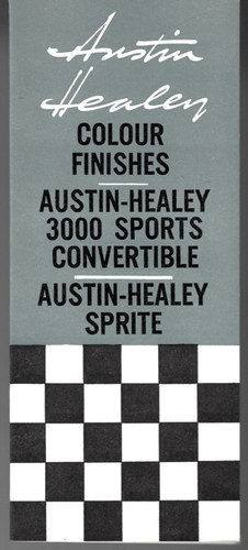 Austin healey colour - austin-healey, trim