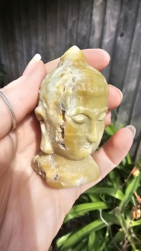 Sale caribbean - ✨️sale✨️,