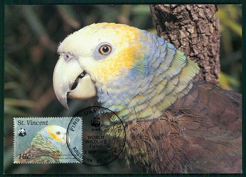 Vincent wwf fauna - vincent, birds