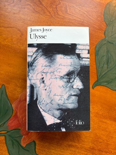 Ulysse par james joyce - ulysse,,