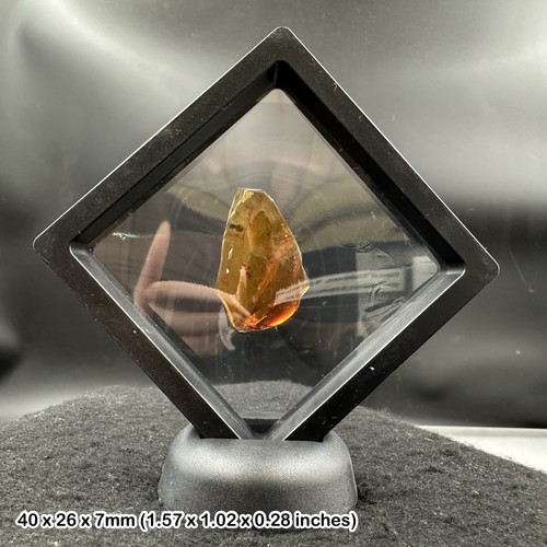 Genuine cretaceous amber with - genuine,
