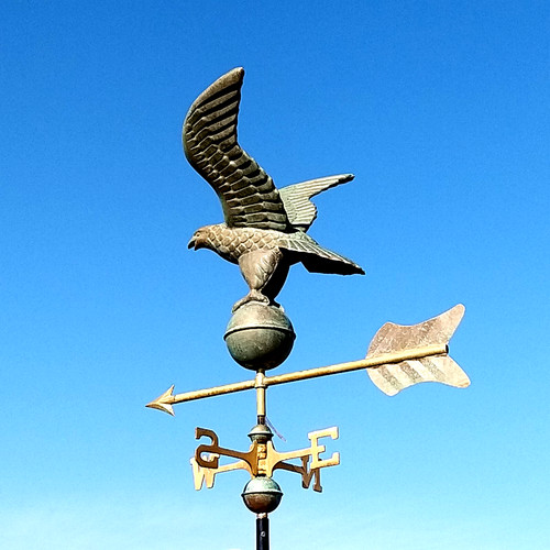 Medium eagle hawk copper - ,