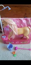 Barbie Horse Shower