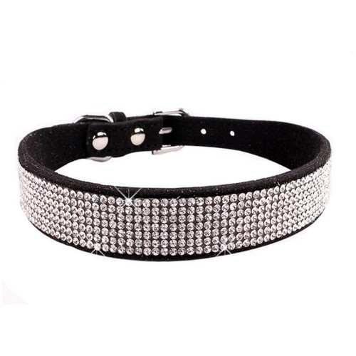 Dog collar suede - dog,