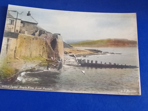 Lyme regis dorset view - regis,,