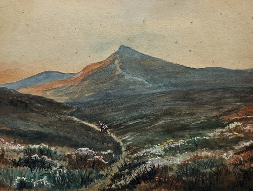 Antique watercolour - antique, –