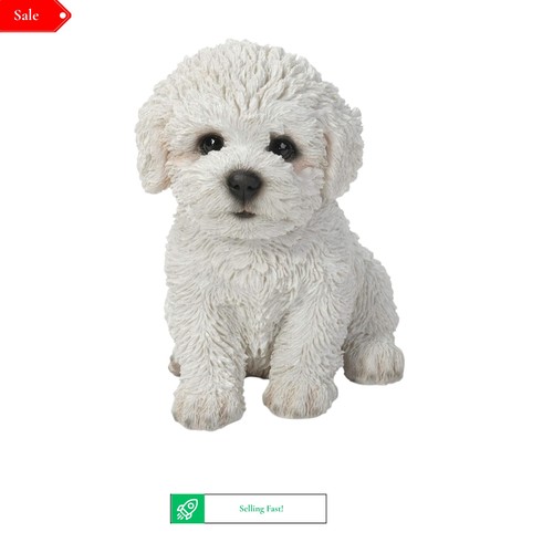 Pet pals bichon - pet, frise