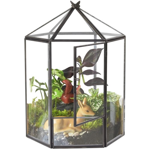 Hexagonal black plant - hexagonal,