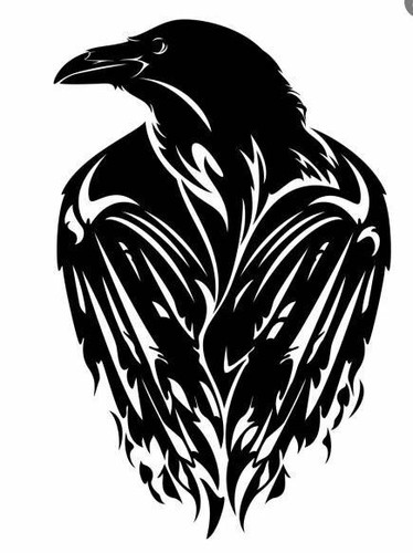 Raven crow viking car camper - raven, car,