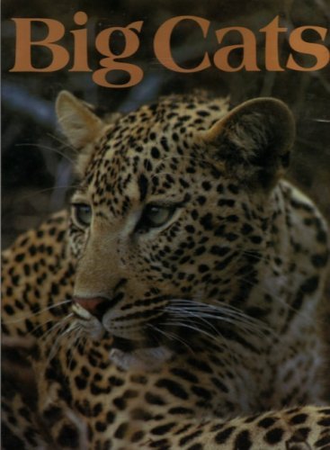 Big cats bruce mitchell - cats, by