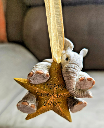 Tuskers wish upon star 91356 - upon,