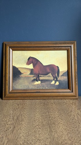 Vintage martin wiscombe framed - vintage,