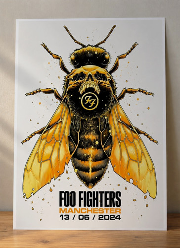 Foo fighters manchester gig - foo,