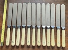 12 Antique Faux Bone Handled