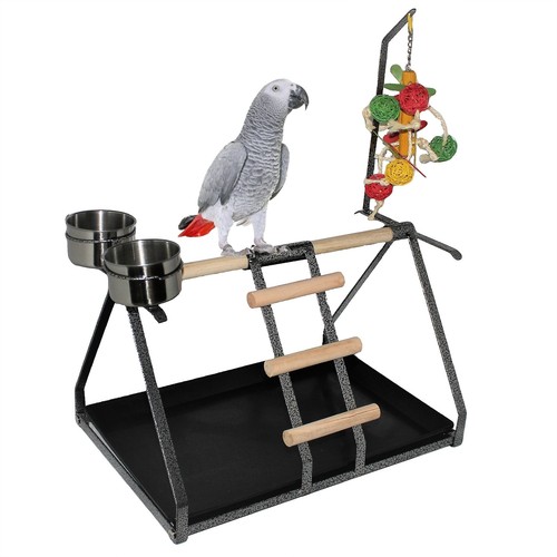Parrot bird perch table - parrot,