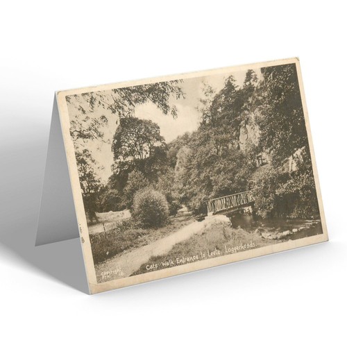 Notelet vintage wales - -, cats