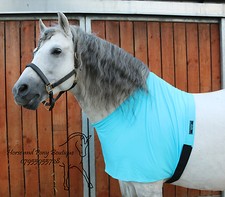 Turquoise lycra horse anti rub