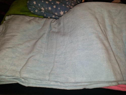 Polar fleece fabric metre - polar,