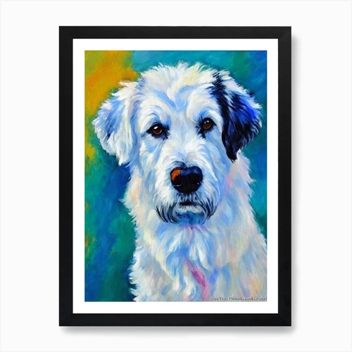 Pyrenean shepherd fauvist - pyrenean,