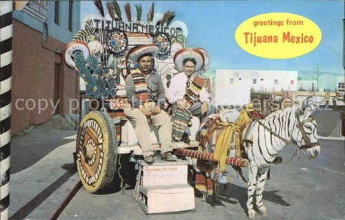 Tijuana colorful donkey carts - colorful,