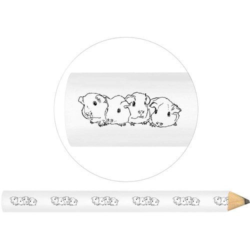 Baby guinea pigs - guinea, pigs'