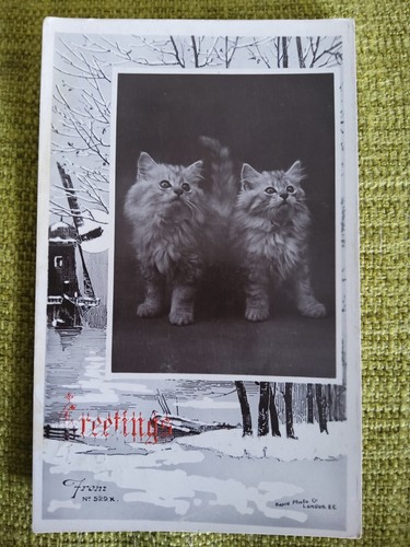 1906 the rapid photo - the,