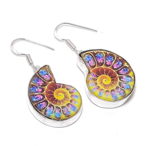 Natural ammonite fossil - natural,