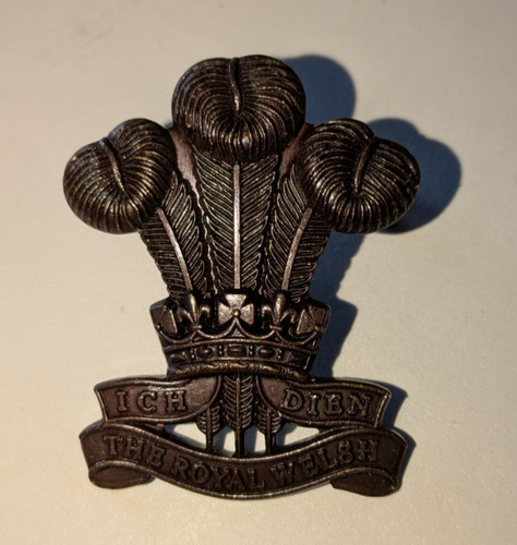 Royal welsh regiment - regiment, officer's