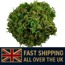 20g artificial moss - 20g,