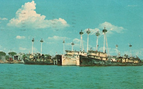 Commercial fishing vessels - fishing,