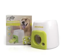 Pet Dog Interactive Training