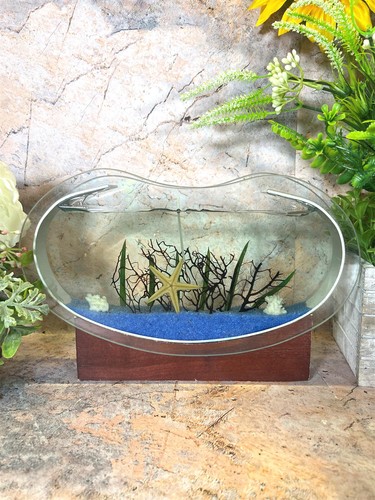 Sea themed starfish glass - themed,