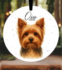 Yorkshire Terrier Dog