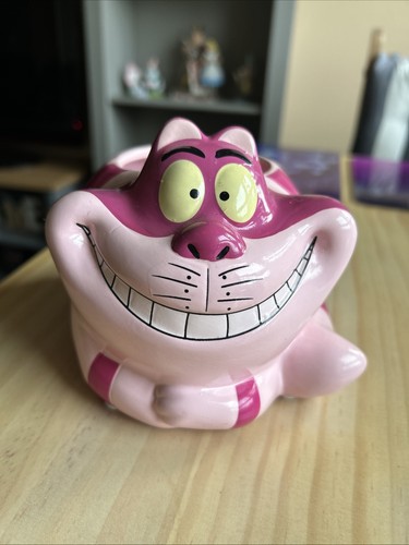 Small cheshire cat indoor - cat,