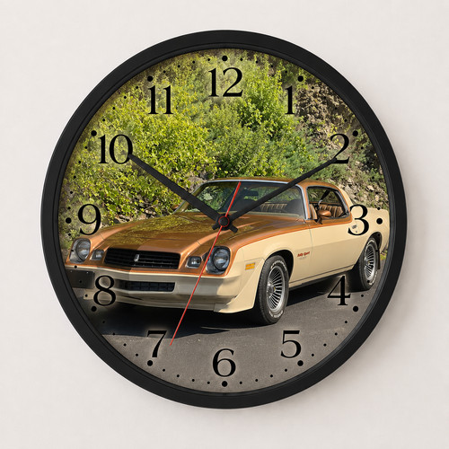 1979 camaro rally - rally, |