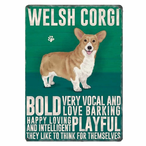 Welsh corgi dog personality