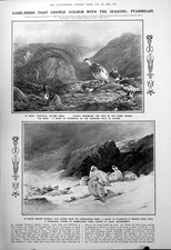 Antique Print Game-Birds Changing Colour Ptarmigan Egg Eating Snakes 1923 20th