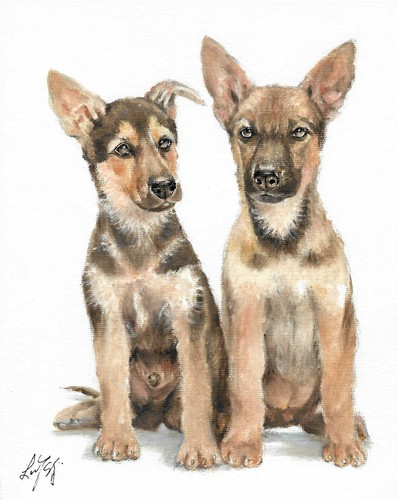 Original oil portrait - ✤,
