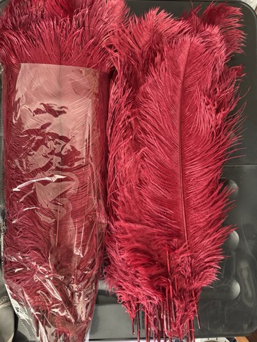 Maroon red natural ostrich - red,