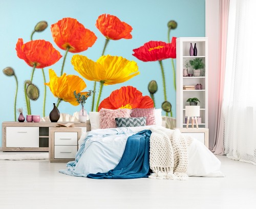 Red poppy b1231 - 3d,