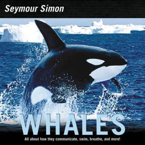 Whales paperback by - whales,