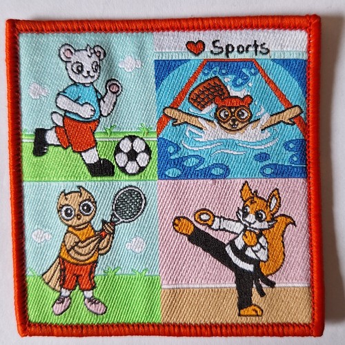 Girlguiding brownie guide - ,