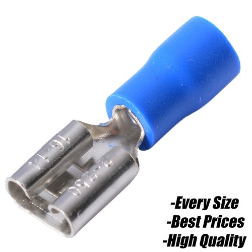 Blue female spade tab - spade,