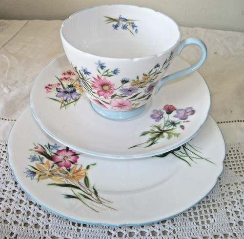 Vintage shelley bone china - bone,