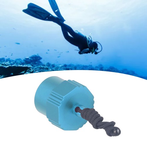 Tank valve dust plug - tank,