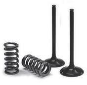 Prox valve spring - kit, for
