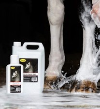 Smart Grooming Splosh Wash