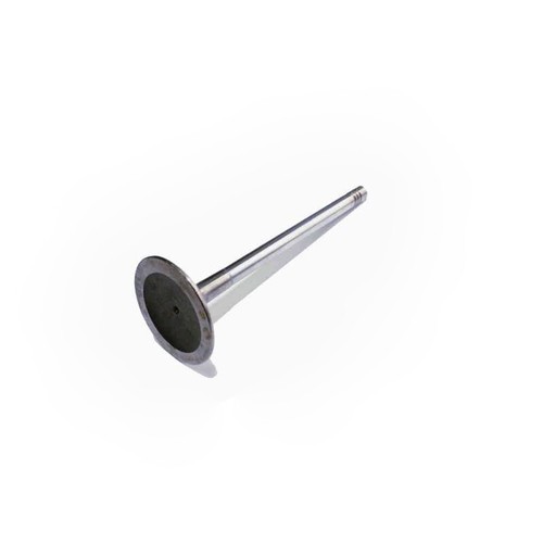 Intake valve for - audi, seat