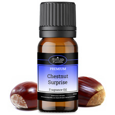 10ML Fragrance Oil - 160+